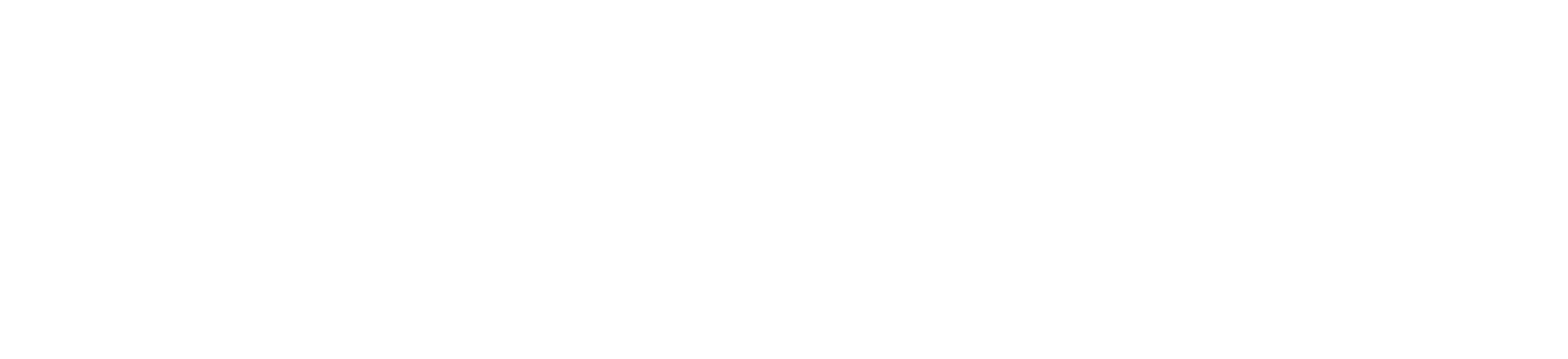 LOGO WHITE_Tavola disegno 1